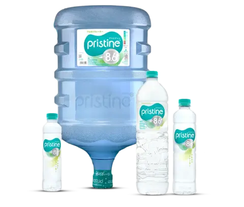 Pristine8.6+ Banner